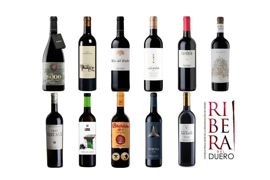 Altos del Enebro entre los 11 vinos mas importantes de Ribera del Duero